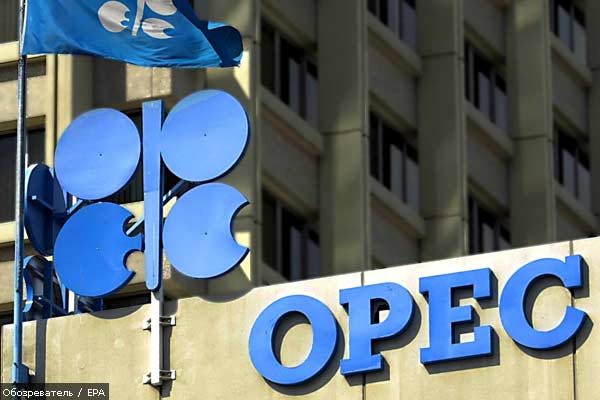 ОПЕК ожидает банкротства нефтедобывающих компаний в США в 1 квартале 2015 г.