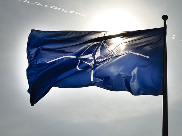 НАТО планирует увеличить численность войск у границ РФ