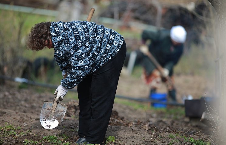 В Думу вносится законопроект о садоводстве и дачном хозяйстве