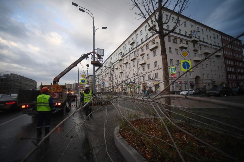 МЧС подсчитало ущерб от урагана в Москве
