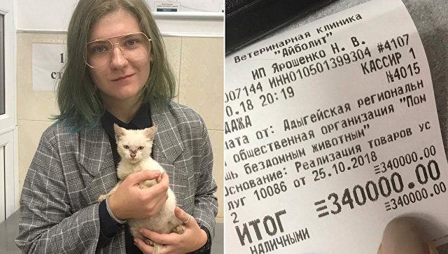Cтудентка заплатила за котенка с улицы 340000 рублей