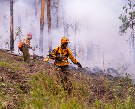Сибирский огненный апокалипсис объял уже до 4,5 млн гектар леса, а тушат только 6% пожаров