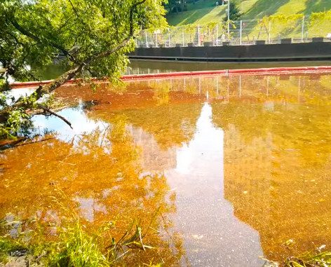 Загрязнение в Химкинском водохранилище из-за нефтеразлива в тысячу раз превысило норму