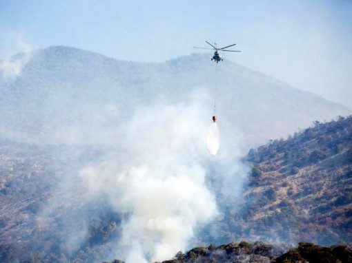 Под Анапой из-за лесных пожаров объявлен режим ЧС и начата эвакуация туристов