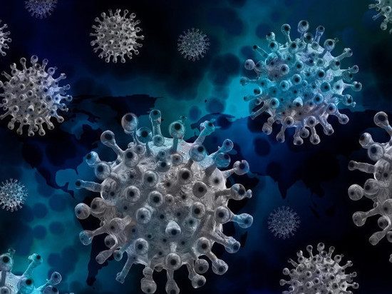 Китайские ученые рассказали, откуда произошёл коронавирус