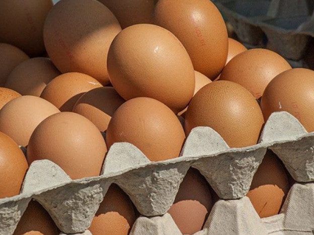 Минпромторг призвал торговые сети повысить закупочные цены на яйца
