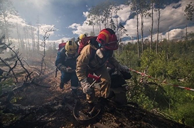 Площадь лесных пожаров в России уже больше территории Греции