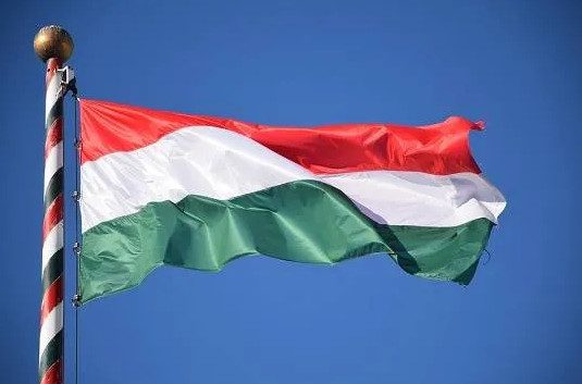 Этнические венгры Закарпатья намерены организовать референдум о выходе из состава Украины и присоединении к Венгрии
