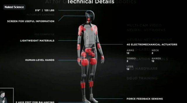 Илон Маск 30 сентября представит прототип человекоподобного робота Optimus