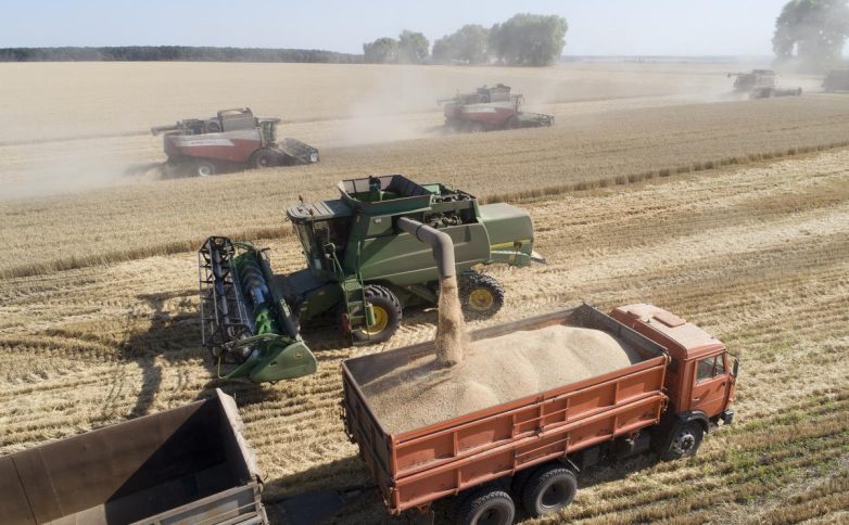 Франция назвала последствия для рынка зерна при поражении Украины