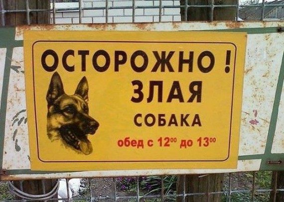 Таблички про злых собак