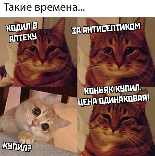 Прикольные картинки дня