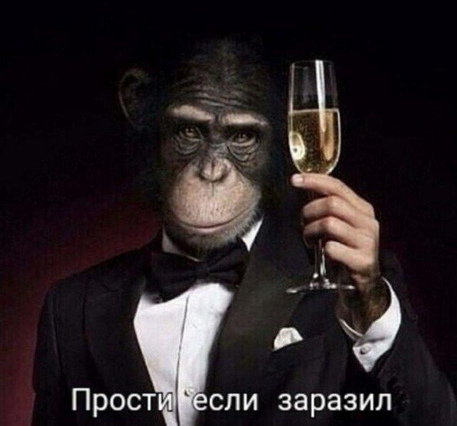 Забавные мемы про оспу обезьян