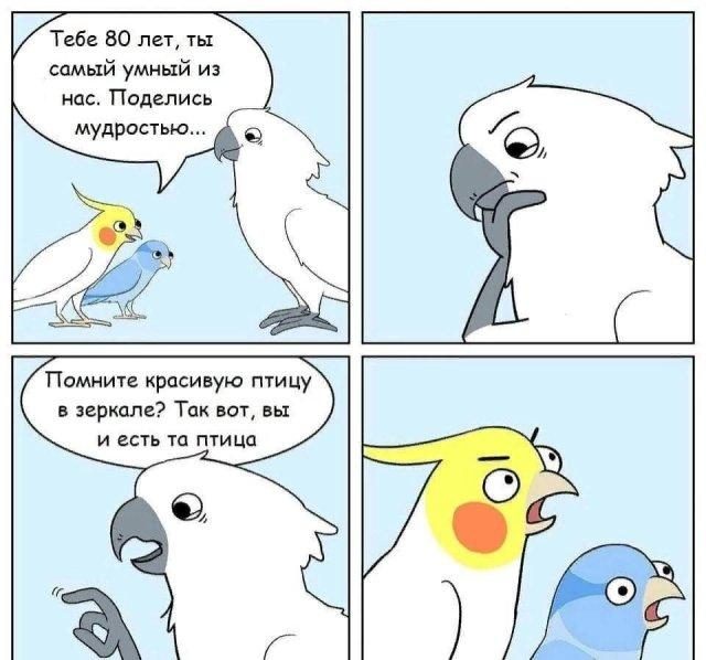 Новые шутки и мемы!