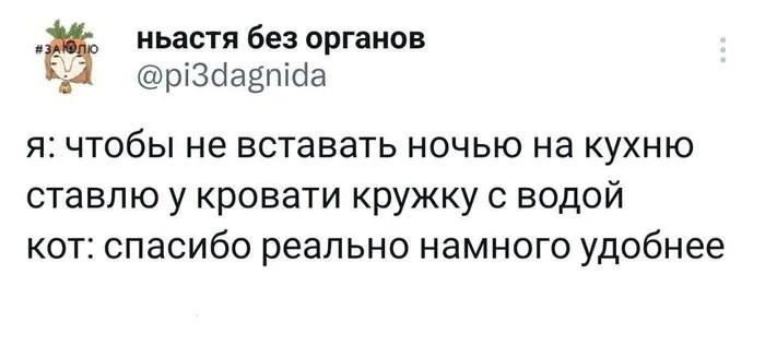 Скриншоты из соцсетей