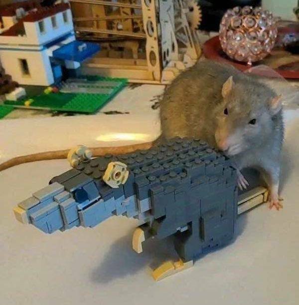 Вечерний выпуск. Подборка картинок