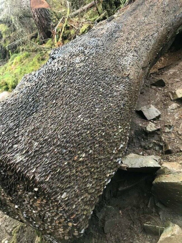 Вечерний выпуск. Подборка картинок