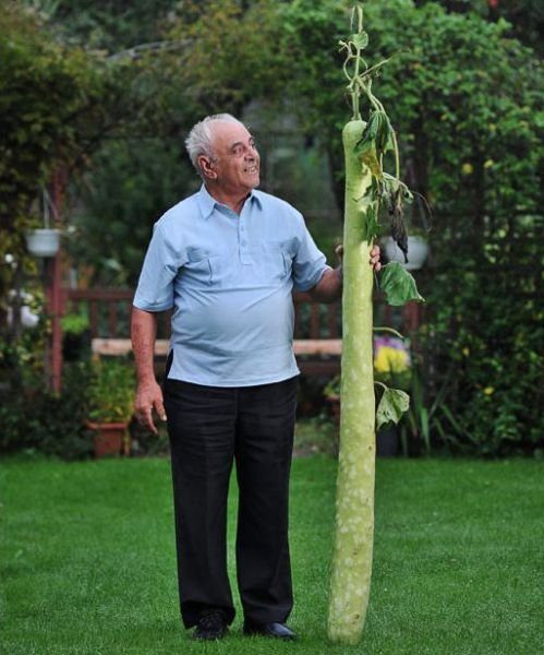 Подборка картинок. Вечерний выпуск