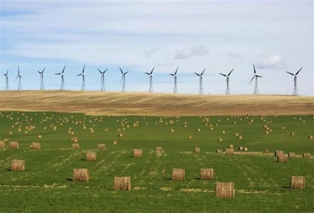 Подборка картинок. Вечерний выпуск