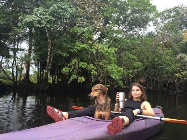 Вечерняя подборка картинок