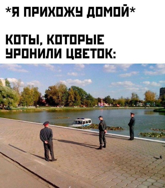 Мемы для поднятия боевого духа