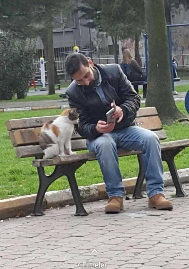 Подборка картинок. Вечерний выпуск