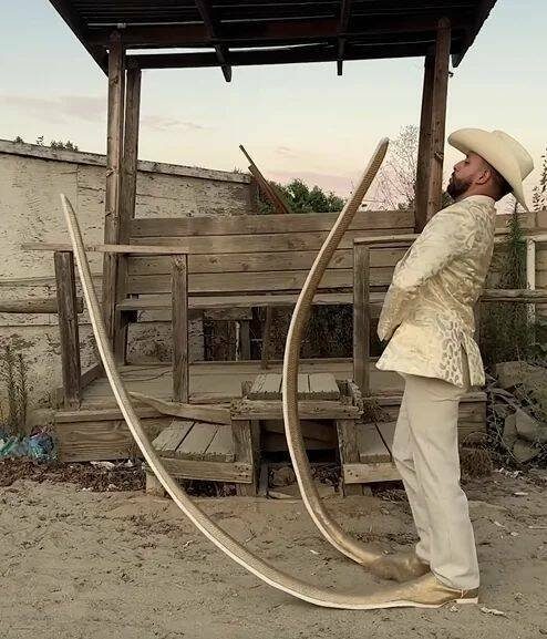 Подборка картинок. Вечерний выпуск