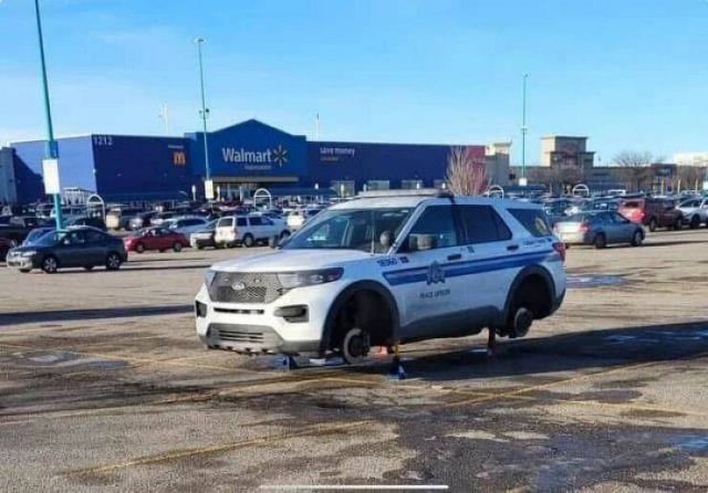 Подборка картинок. Вечерний выпуск