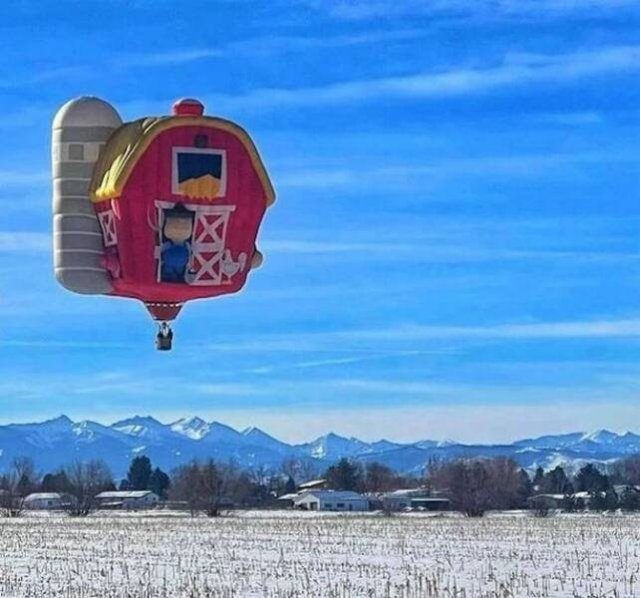 Подборка картинок. Вечерний выпуск