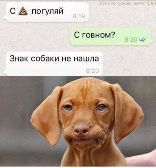 Мемы для заряда позитивом на все выходные