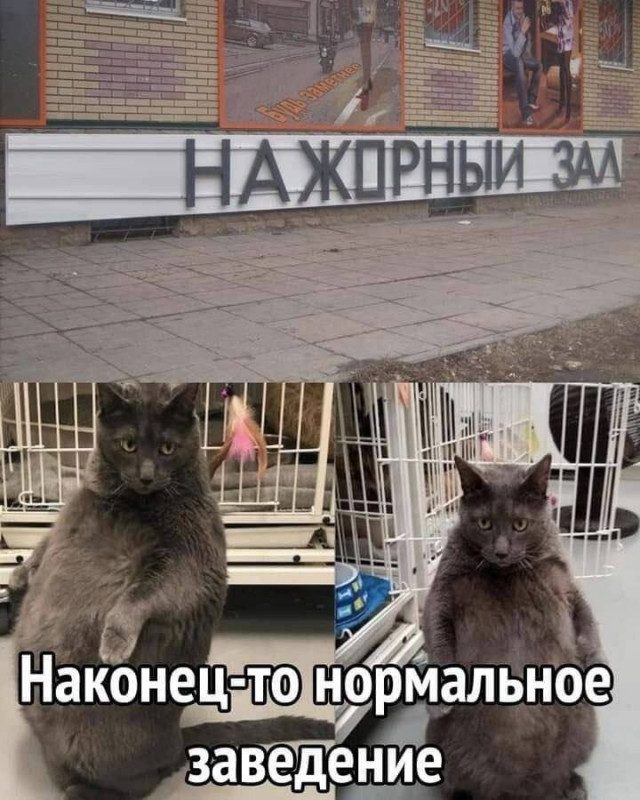 Мемы для заряда позитивом на все выходные