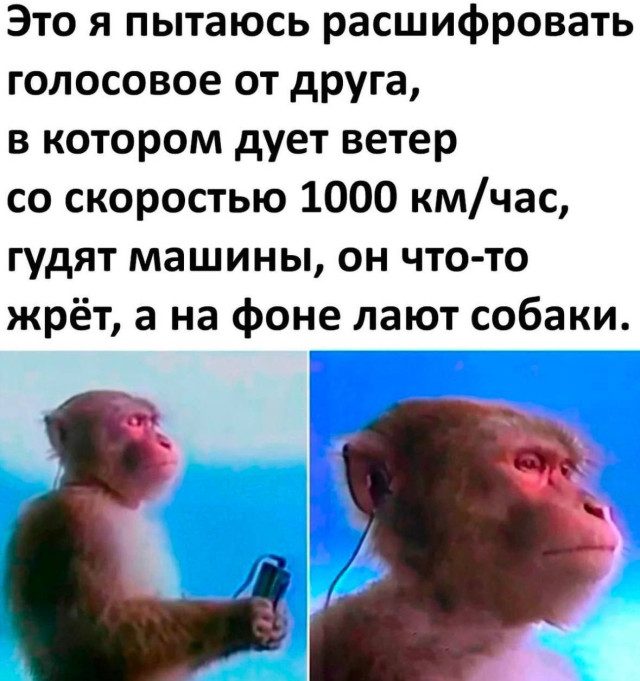 Мемы на ночь, чтобы сны были веселее :)