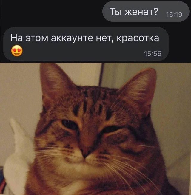 Мемы на ночь, чтобы сны были веселее :)