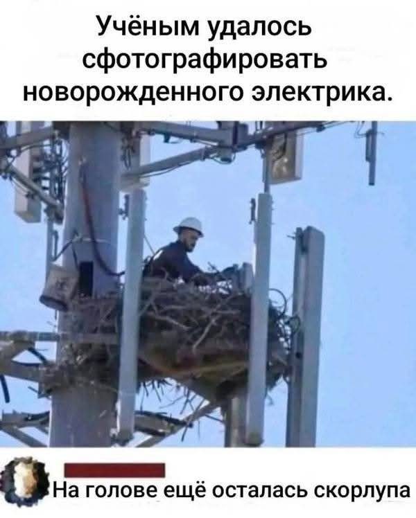 Ночные мемы обо всем на свете