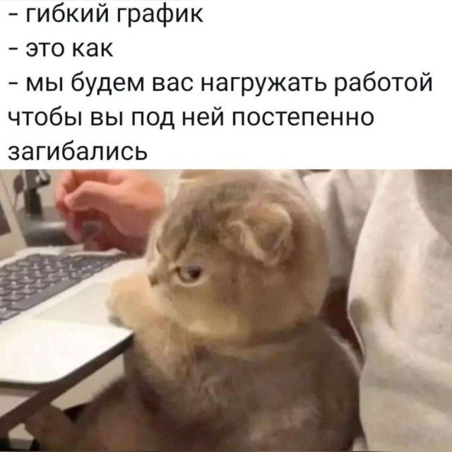 Готовимся к новой рабочей неделе с помощью смешных картинок