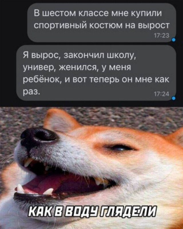 Ночные мемы обо всем на свете