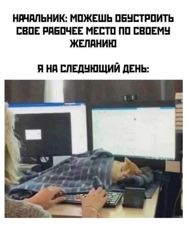 Готовимся к новой рабочей неделе с помощью смешных картинок