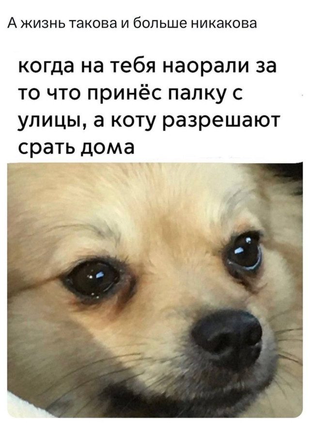 Хорошие мемы с хорошими мальчиками