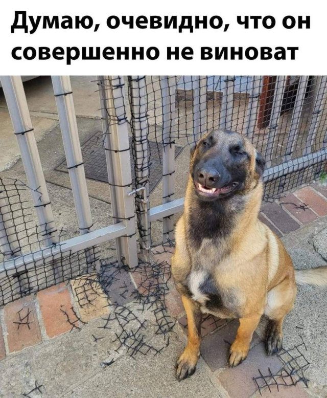 Хорошие мемы с хорошими мальчиками