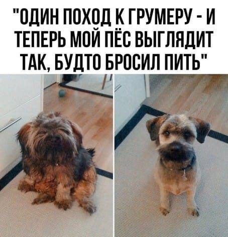 Хорошие мемы с хорошими мальчиками