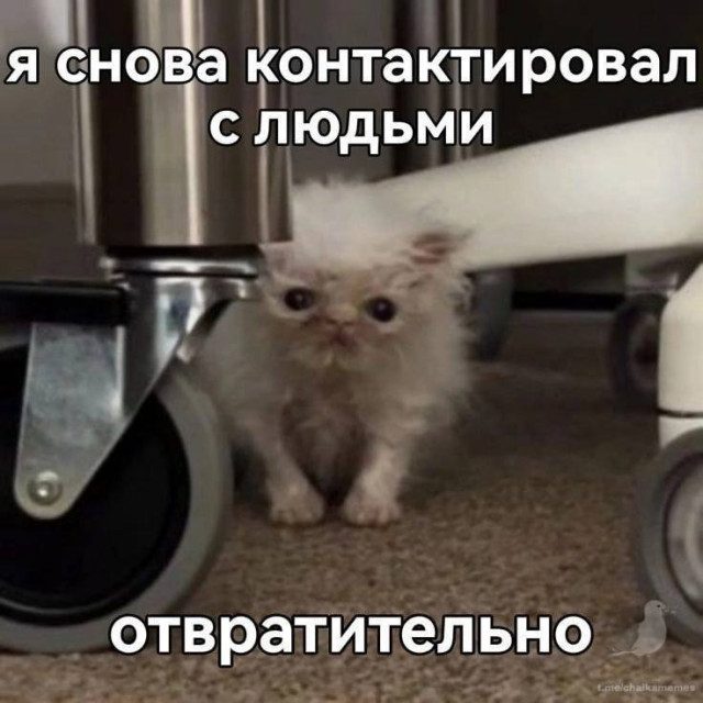 Новая порция приколов и мемов