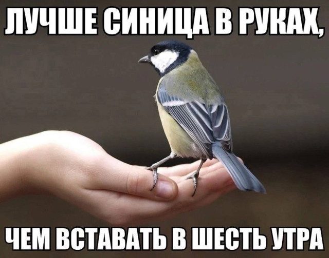 Новая порция приколов и мемов