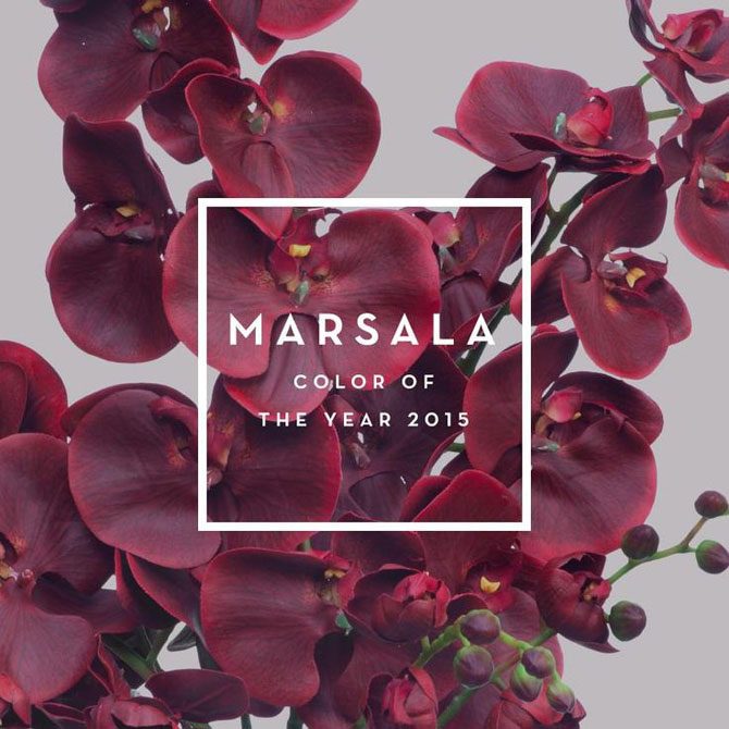 Марсала – цвет года 2015