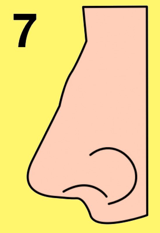 Как определить характер по форме носа