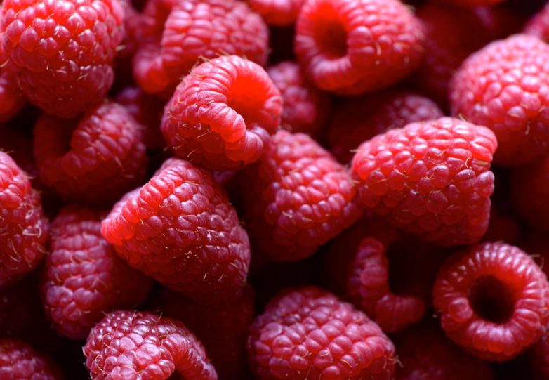 Польза ягод для нашего организма