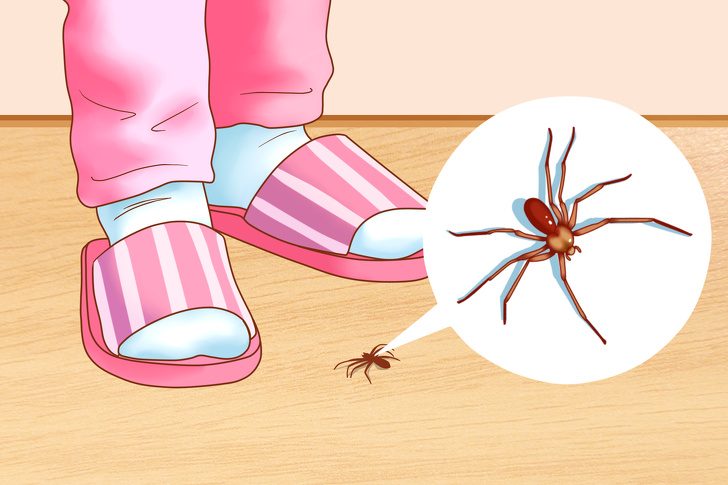 Как избавиться от насекомых в вашем доме