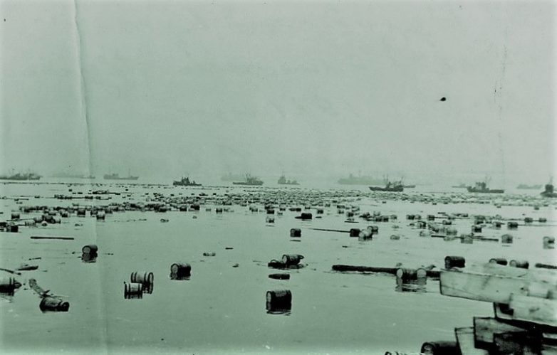 Засекреченная катастрофа: курилькое цунами 1952 года