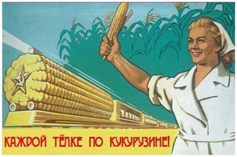 Как «царица полей» кукуруза разорила СССР