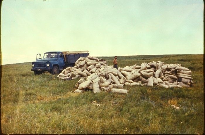 Архив слайдов советского геолога, купленный на барахолке