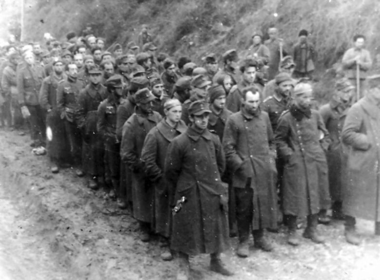 75 лет со дня разгрома дивизии СС «Галичина» под Бродами